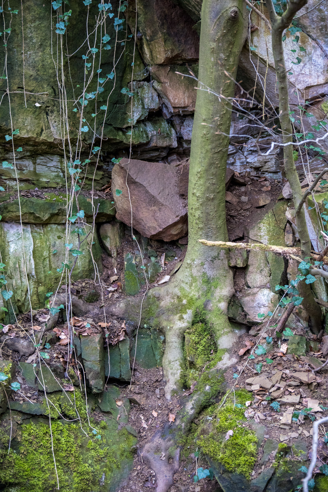 20220410112754 R5D 2026